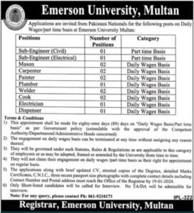 University of Emerson Pakistan jobs 2024